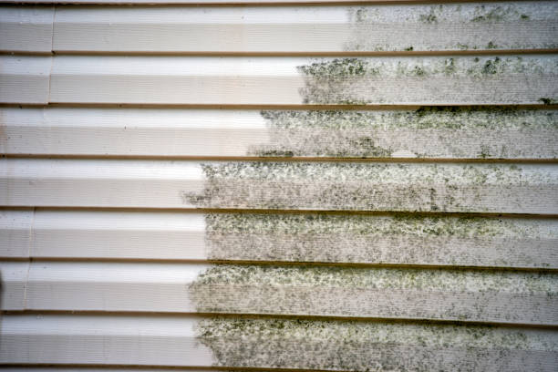 Best Foreclosure Cleanout  in Osceola, MO